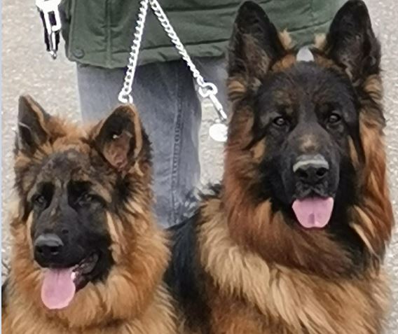 PORTEE ENVISAGEE ETE 2026